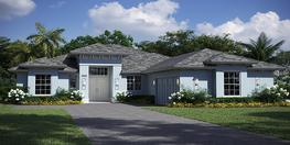 Florida Coastal Elevation